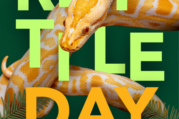 Reptile Day written in bright text with a snake intertwined in the letters.