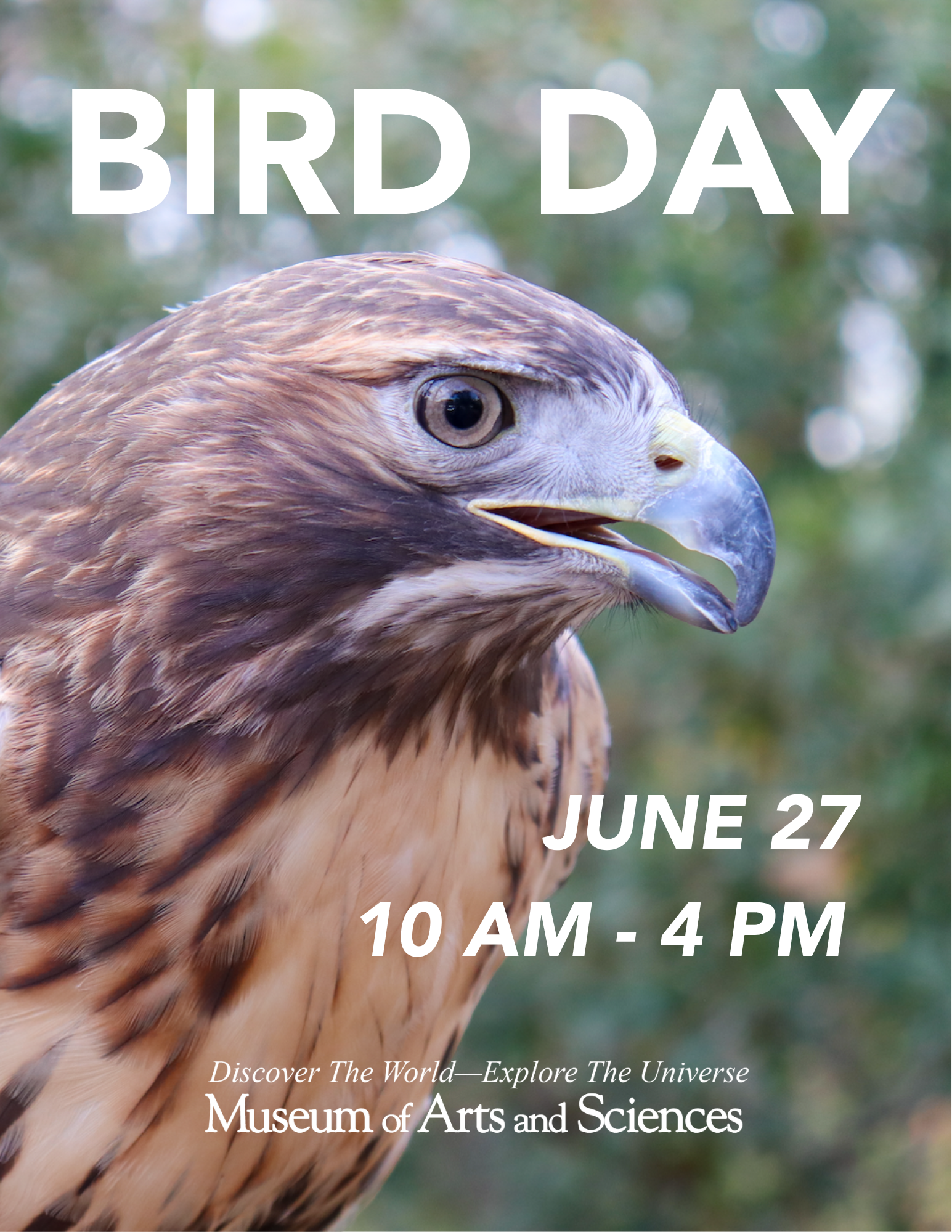 Red Tailed hawk photo with Bird day text over image.