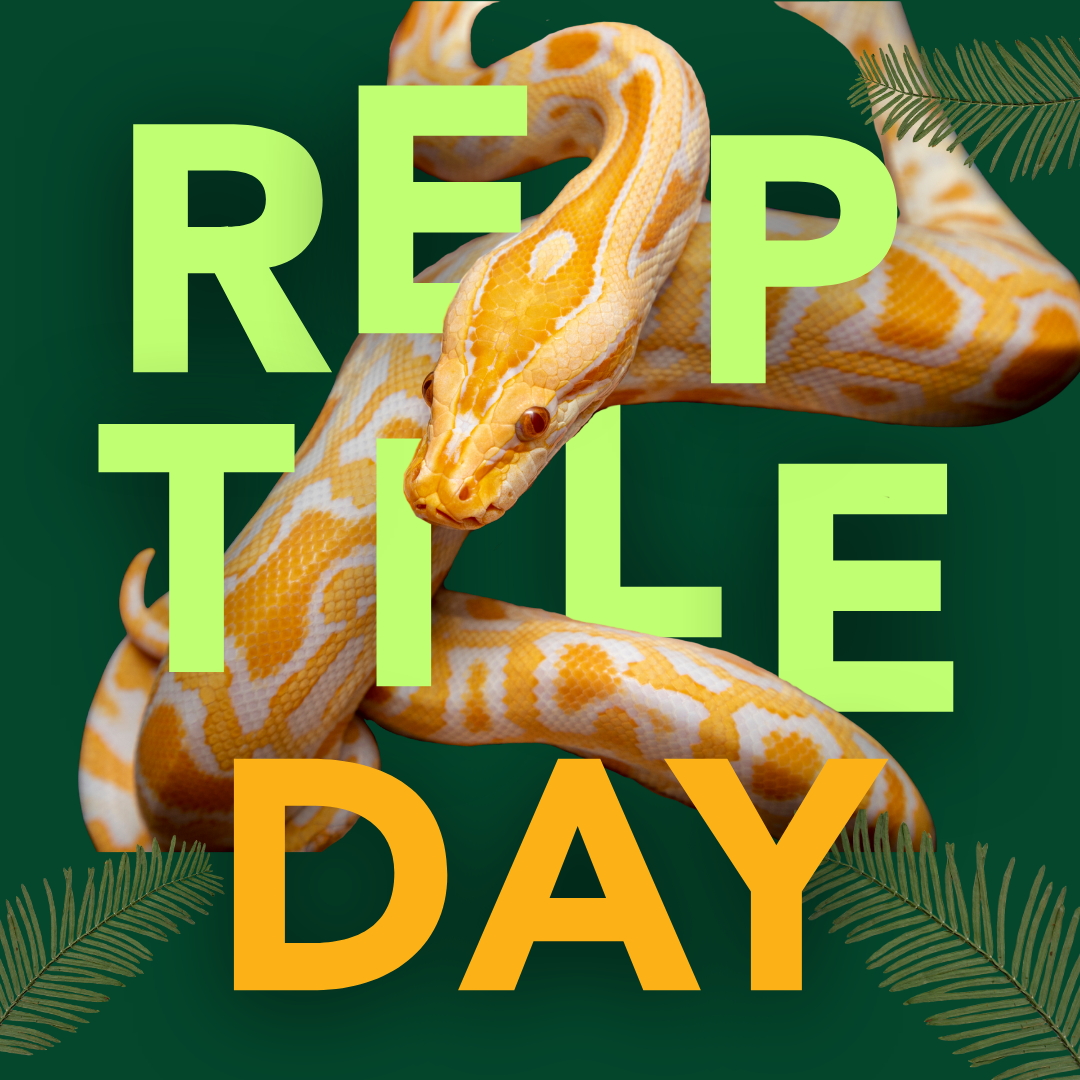 Reptile Day